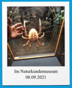 Im Naturkundemuseum 08.09.2021
