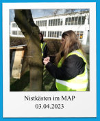 Nistkästen im MAP 03.04.2023