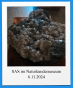 SAS im Naturkundemuseum 6.11.2024