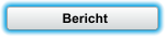 Bericht