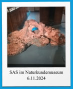 SAS im Naturkundemuseum 6.11.2024