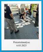 Potentialanalyse 6.03.2025