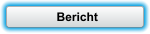 Bericht