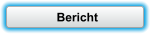 Bericht