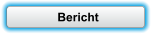 Bericht