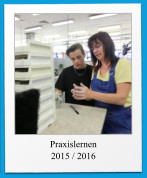 Praxislernen 2015 / 2016