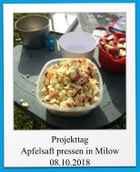 Projekttag Apfelsaft pressen in Milow 08.10.2018