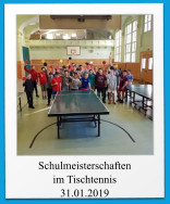 Schulmeisterschaften  im Tischtennis 31.01.2019