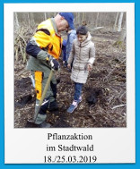 Pflanzaktion im Stadtwald 18./25.03.2019