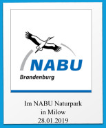 Im NABU Naturpark in Milow 28.01.2019