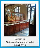 Besuch im Naturkundemuseum Berlin 03.04.2019