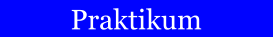 Praktikum