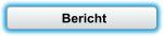 Bericht